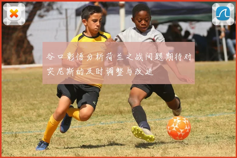 谷口彰悟分析荷兰之战问题期待对突尼斯的及时调整与改进