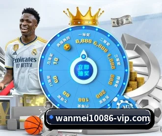 完美体育 APP 深度功能(WMsports)