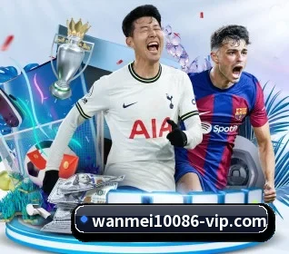 完美体育 APP | WMsports